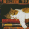 Cat With Books Diamond Paintings