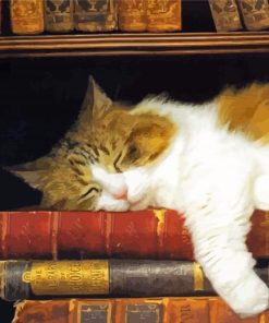 Cat With Books Diamond Paintings