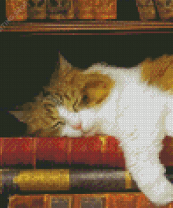 Cat With Books Diamond Paintings