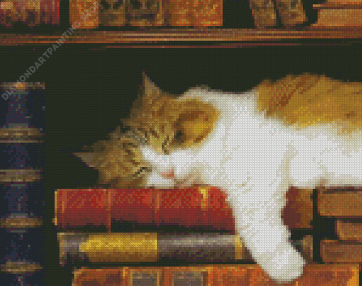 Cat With Books Diamond Paintings