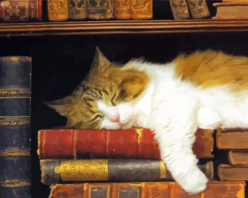 Cat With Books Diamond Paintings