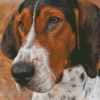 Coonhound Dog Diamond Paintings