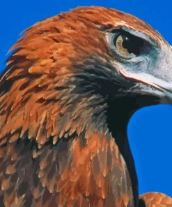 Eagle Head Diamond Paintings