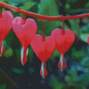 Bleeding Heart Plant Diamond Paintings