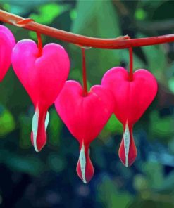 Bleeding Heart Plant Diamond Paintings