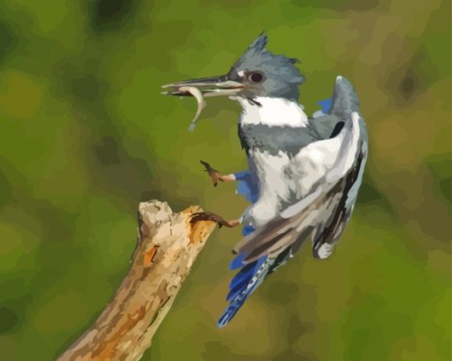 Belted Kingfisher Fishing Diamond Paintings