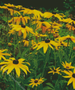 Black Eyed Susan Diamond Paintings