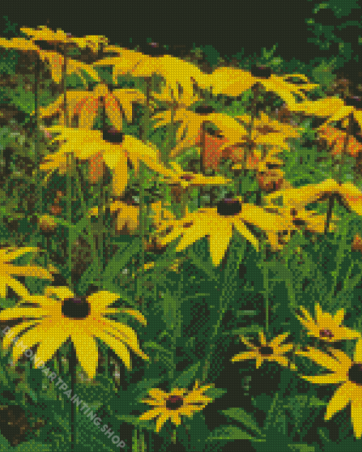 Black Eyed Susan Diamond Paintings