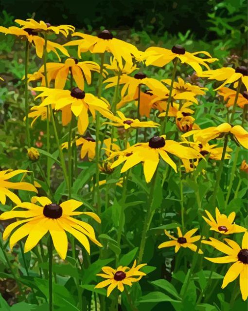 Black Eyed Susan Diamond Paintings