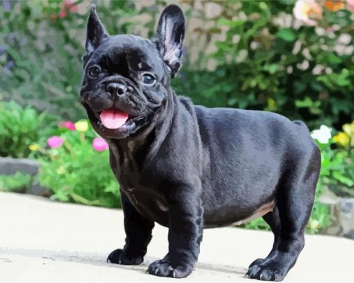 French Bulldog Puppy Diamond Paintings