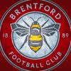 Brentford Football Logo Diamond Paintings