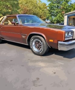 Brown Cutlass Supreme Diamond Paintings