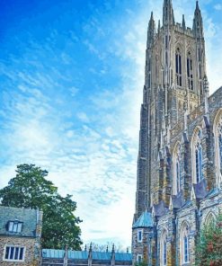 Duke University Diamond Paintings