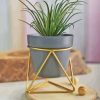 Gold Plant Pot Diamond Paintings