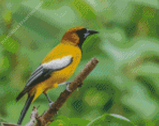 Jamaican Oriole Bird Diamond Paintings