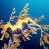 Leafy Seadragon Diamond Paintings