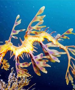 Leafy Seadragon Diamond Paintings