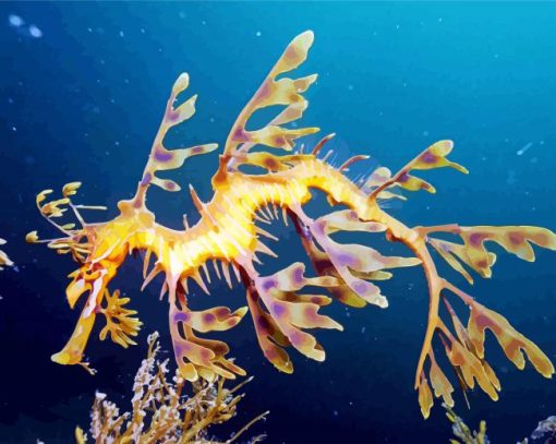 Leafy Seadragon Diamond Paintings