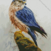 Merlin Falcon Bird Diamond Paintings