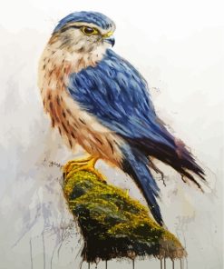 Merlin Falcon Bird Diamond Paintings