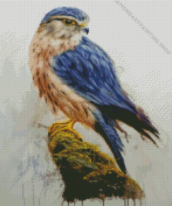 Merlin Falcon Bird Diamond Paintings