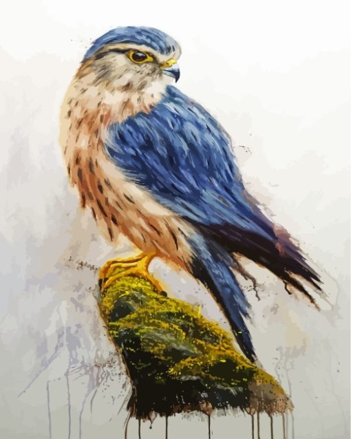 Merlin Falcon Bird Diamond Paintings