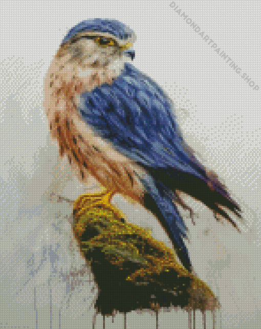 Merlin Falcon Bird Diamond Paintings