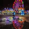 Minnesota State Fair Diamond Paintings