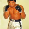 Muhammad Ali Diamond Paintings