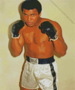 Muhammad Ali Diamond Paintings