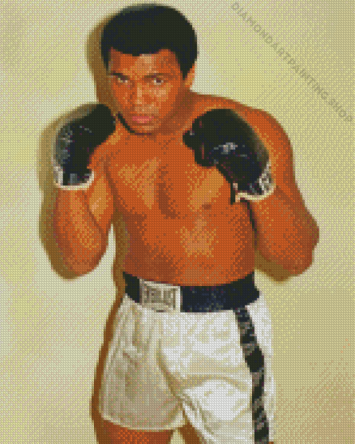 Muhammad Ali Diamond Paintings