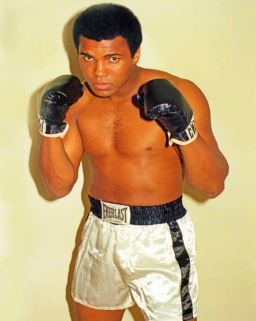 Muhammad Ali Diamond Paintings