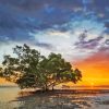 Nudgee Beach Sunrise Diamond Paintings