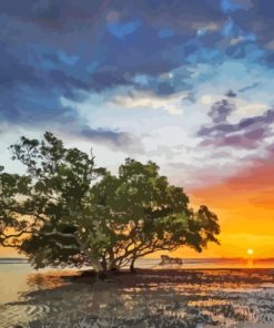 Nudgee Beach Sunrise Diamond Paintings