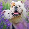 Bulldog In Lavender Diamond Paintings