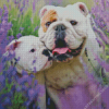 Bulldog In Lavender Diamond Paintings