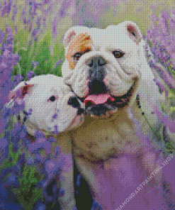 Bulldog In Lavender Diamond Paintings