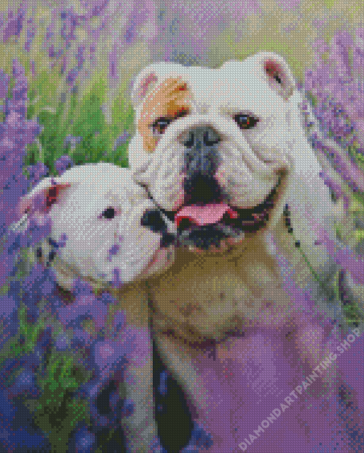 Bulldog In Lavender Diamond Paintings