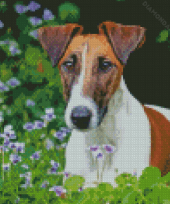 Smooth Fox Terrier Diamond Paintings