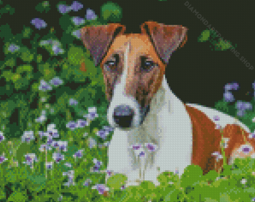 Smooth Fox Terrier Diamond Paintings