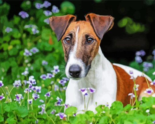 Smooth Fox Terrier Diamond Paintings