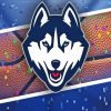 UConn Huskies Logo Diamond Paintings