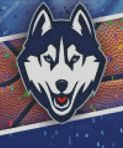 UConn Huskies Logo Diamond Paintings