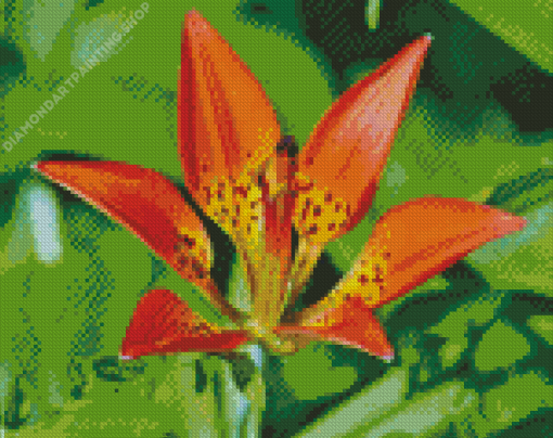 Western Red Lily Diamond Paintings