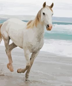 Horse At The Beach Diamond Paintings