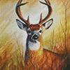 Whitetail Deer Diamond Paintings