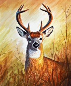 Whitetail Deer Diamond Paintings