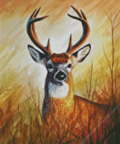 Whitetail Deer Diamond Paintings