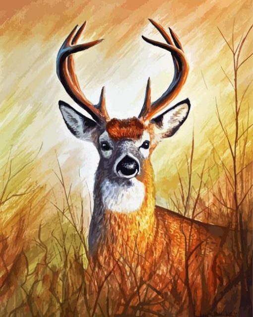 Whitetail Deer Diamond Paintings