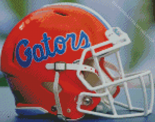 Aesthetic Florida Gators Diamond Paintings